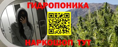 прущие грибы Новодвинск