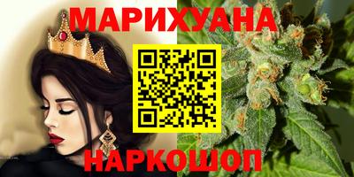 прущие грибы Новодвинск