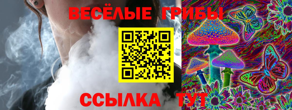 Галлюциногенные грибы мицелий  Вход с VPN  Тара 